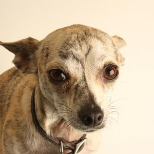 Fundraising Page: Andre Beauchamp